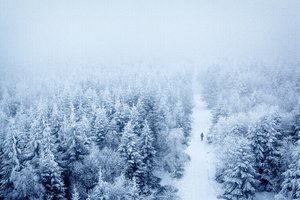 挽回爱情秘籍第二册